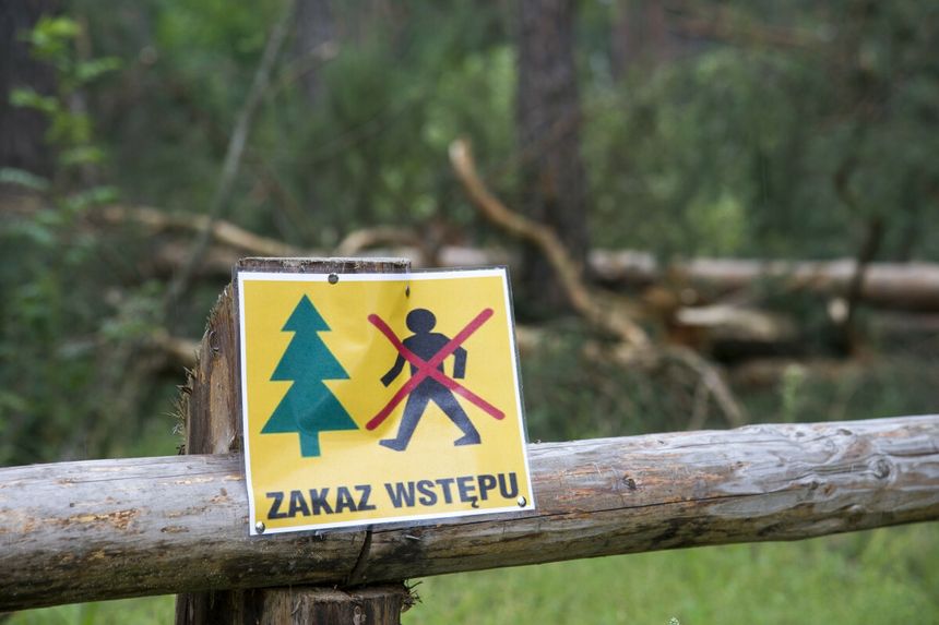 Zakaz wstępu do lasu