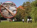 Archeolodzy w Toruniu