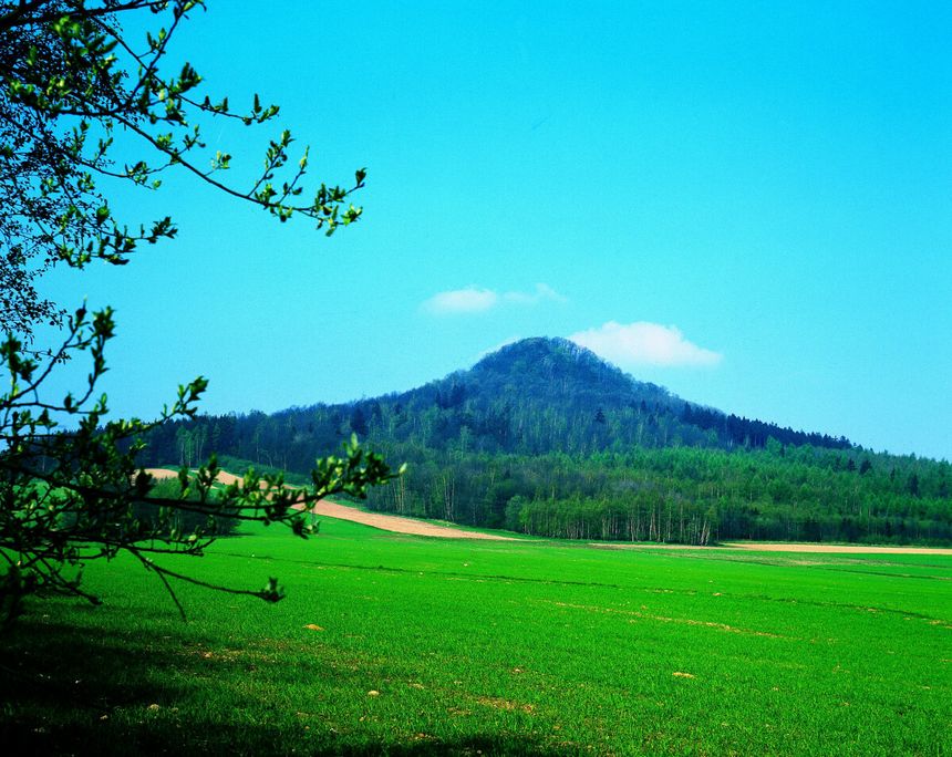Ostrzyca