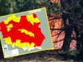 Pożar