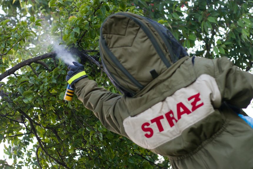 Strażak