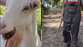 Interwencja Ekostraży