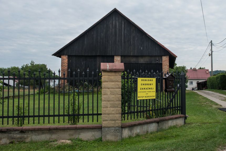 Ostrzeżenie przed ASF