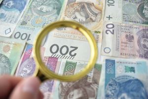 pieniądze pod lupą