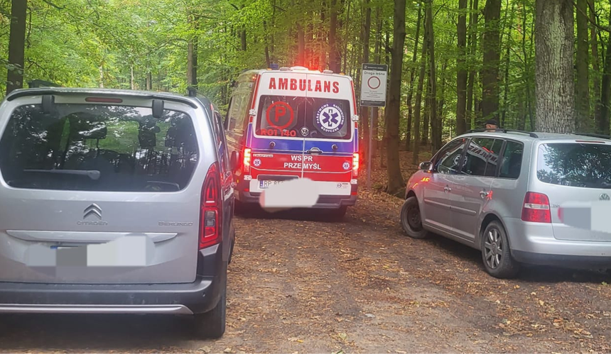 las, karetka, przejazd