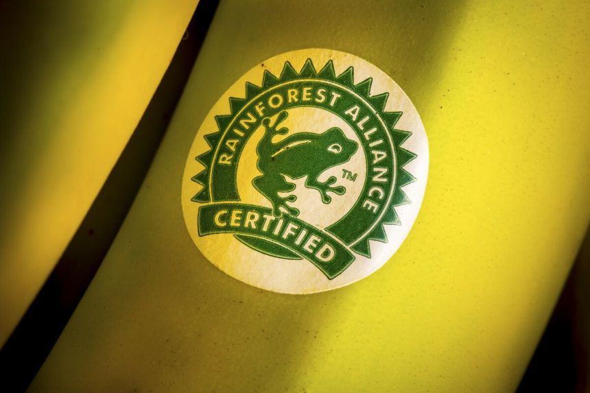 Rainforest Alliance