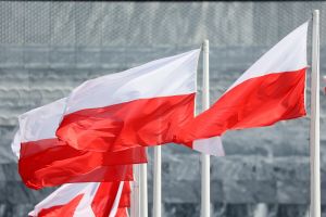 polskie flagi