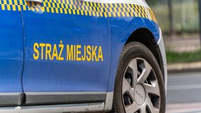 radiowóz straży miejskiej