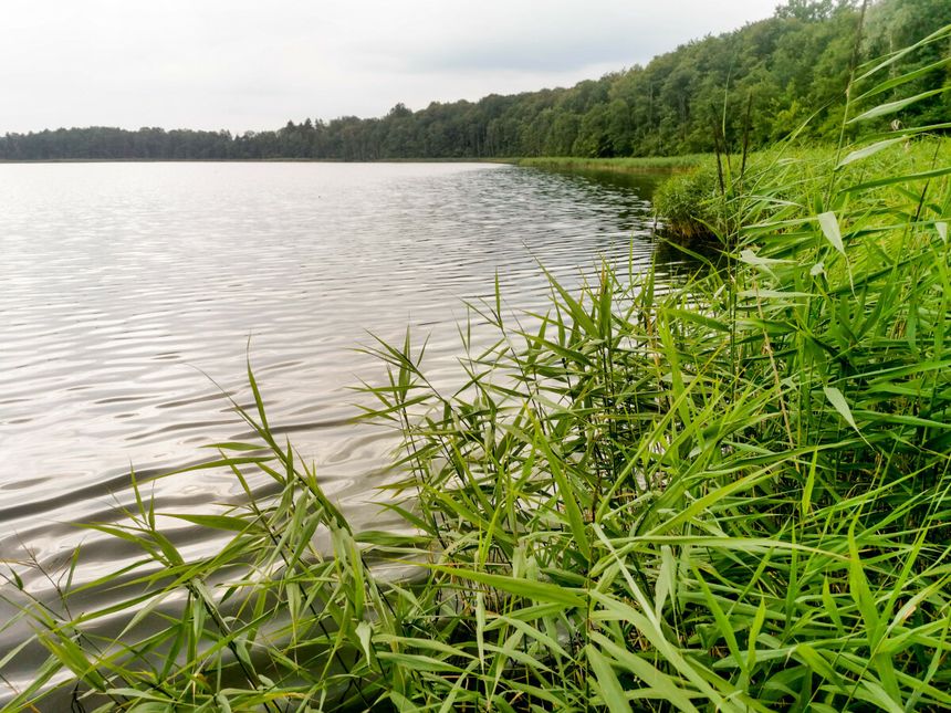 Jezioro