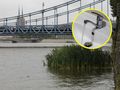 Odra we Wrocławiu i kran