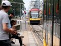 Tramwaje