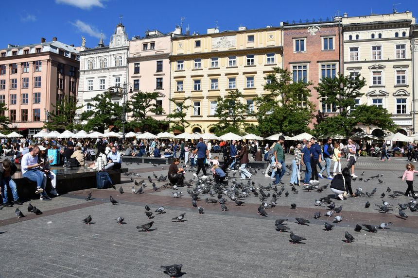 Rynek w Krakowie