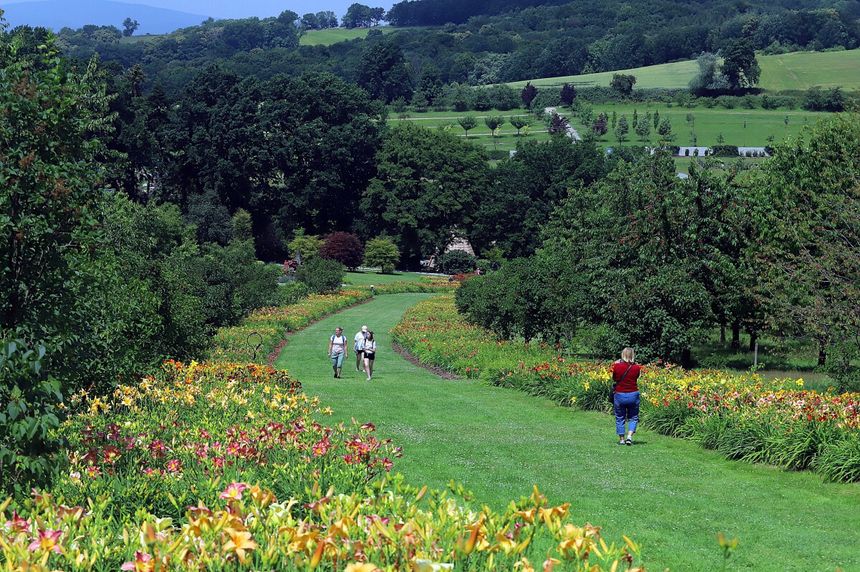 Arboretum Wojsławice