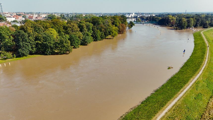 Odra