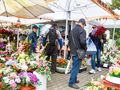 Wszystkich Świętych we Wrocławiu