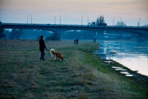 Spacer z psem w Poznaniu