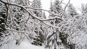 tatry