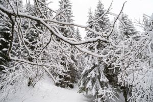 tatry