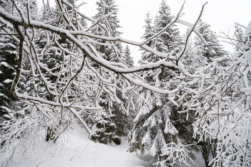 tatry