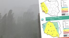 Prognoza burzowa