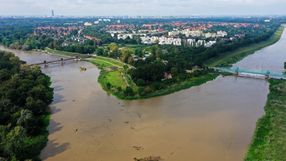 Wysoki stan wody w Odrze w okolicach Jazu Opatowickiego we Wrocławiu