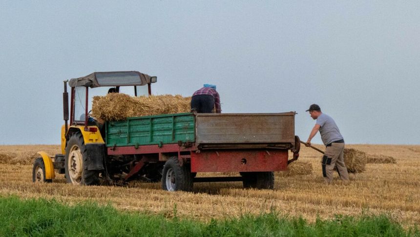 Rolnik na polu