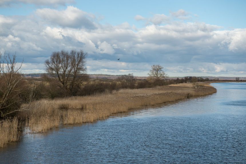 Odra