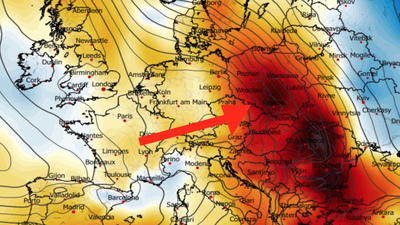 Anomalia temperatury na poziomie ciśnienia 850 hPa 05.02