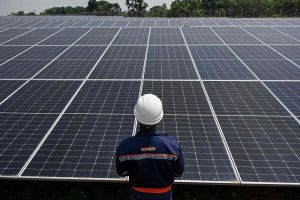 SunPower Corporation bankrutuje
