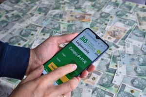 strona logowania do PUE ZUS na smartfonie trzymanym nad pieniędzmi