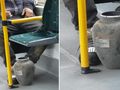 Poznań. Urna z prochami w tramwaju