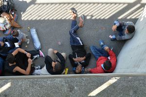 migranci