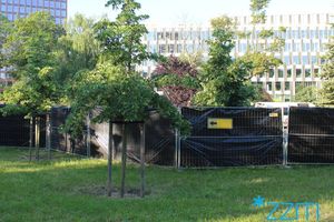 Remont skateparku w Poznaniu