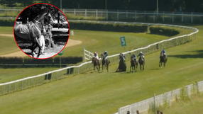 Tragedia na wyścigach konnych