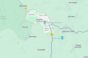 Cetynia