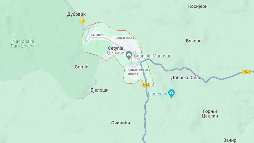 Cetynia
