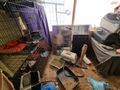 Siedziba Fundacji "Toruńska Kocia Straż"
