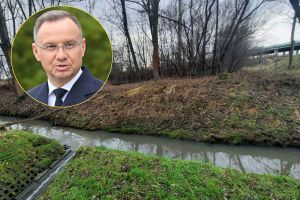Olszanica
