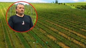 Dolnośląscy winiarze