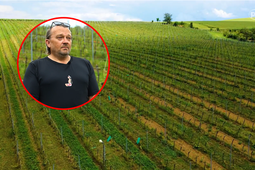 Dolnośląscy winiarze