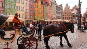 Dorożka we Wrocławiu