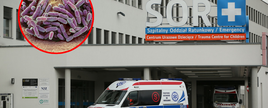 Legionella we wrocławskim szpitalu