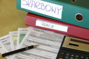 deklaracje podatkowe i skoroszyt z napisem Skarbowe