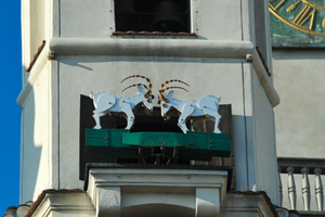 Koziołki w Poznaniu