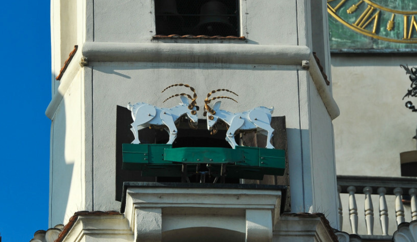 Koziołki w Poznaniu
