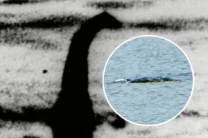 Potwór z Loch Ness jednak istnieje?