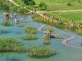 Arboretum Park Gródek, polskie Malediwy