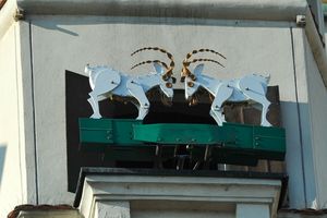 Poznanskie koziolki