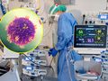 Szpital i wirus odry
