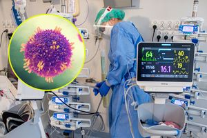 Szpital i wirus odry